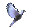 Abide in Christ